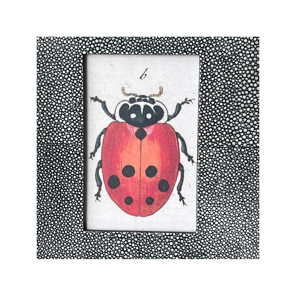 JOHN DERIAN Ladybug Beetle Framed Art Print Polka Dots Modern Folk Craft Style